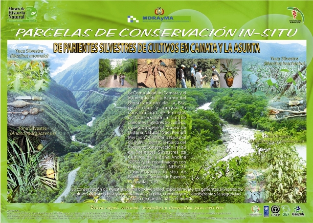Ir a la publicacion del sitio